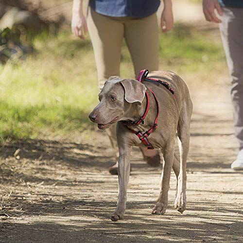Halti Dog Walking Harness | Size M, Black | Ideal for Puppy Walks - color: Black/Grey, size: Medium