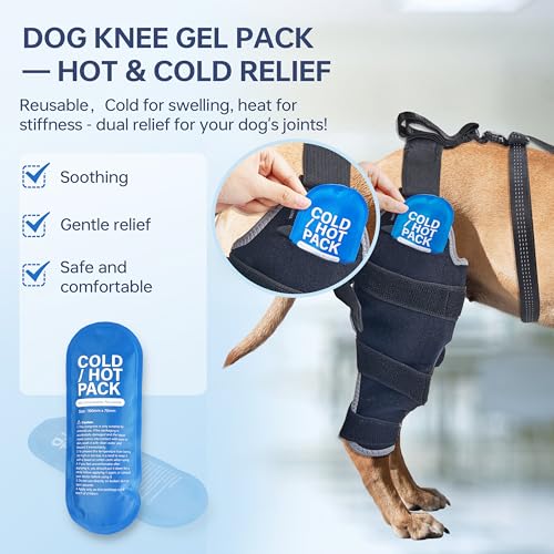 Kolmmeo Dog Knee Brace for Back Leg - Adjustable Breathable Canine Leg Wrap with Hot & Cold Gel Packs - Supports Large & Medium Dogs with Arthritis, Hip Dysplasia, ACL Injuries, Right Hind Leg (L)