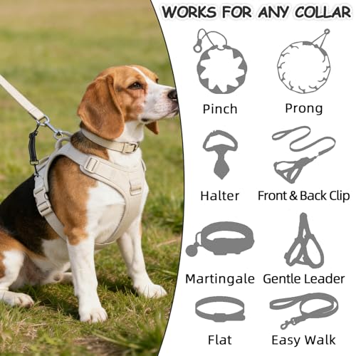 YUEPET 2 Pack Dog Collar Safety Clips, Adjustable Prong Collar Backup Clips - color: Bright Black*2（Trapezoid Black)