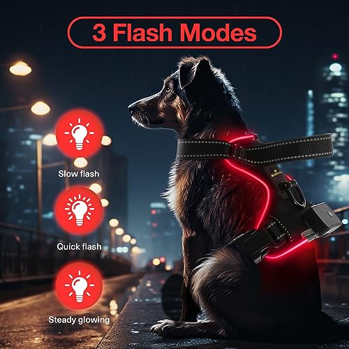 MASBRILL Light Up Dog Harness - No Pull Led Dog Harness Rechargeable Glow Vest for Night Walking Adjustable Sizes - color: Black-Red, size: L