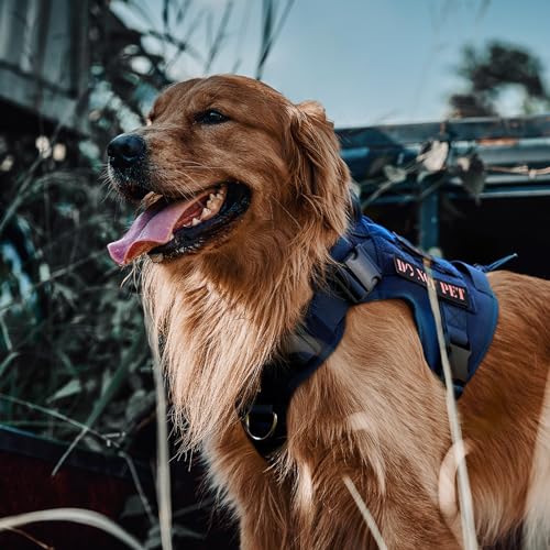OneTigris Tactical Dog Harness with Handle No-Pull Adjustable for Small Dog - color: Blue, size: Small