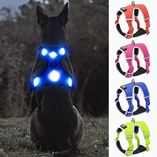 YFbrite Light Up Dog Harness - USB Rechargeable LED, Reflective, Comfortable Adjustable With Different Sizes (Blue, Small)