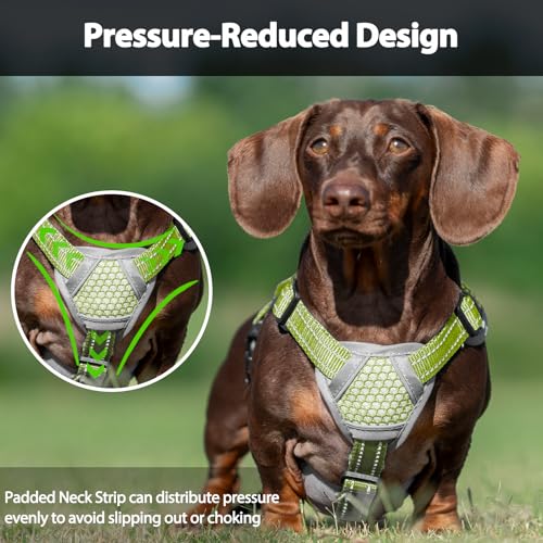 Huntboo Escape Proof Dog Harness, Dachshund Harness, Reflective Dog Harness with Handle, Durable,Adjustable Vest for Small Medium Large Dogs Walking, Training, and Running Gear (Green,S) - color: Green, size: Small(Pack of 1)