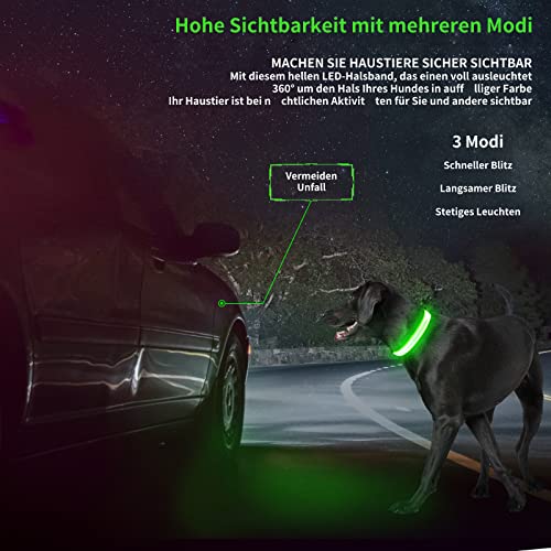 Light Up Dog Collar, Rechargeable USB Collar, Waterproof, Luminous LED Collar, Adjustable, Super Bright, Night Walking for Small Medium Large Dogs, Green, M - color: Green, size: Medium