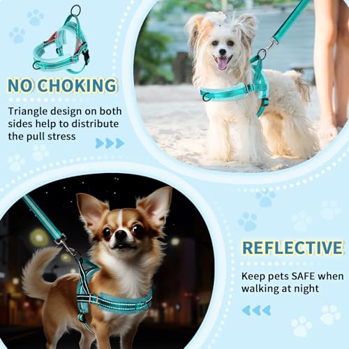 SlowTon No Pull Small Dog Harness and Leash Set with Front Clip - color: Teal, size: XX-Small