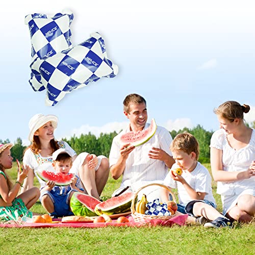Reusable Dry Ice Packs for Shipping & Storage - Long Lasting Cold Packs for Lunch Box & Coolers - Ideal for Frozen Food & Drinks - style: 6.9" x 4.7" 25pcs