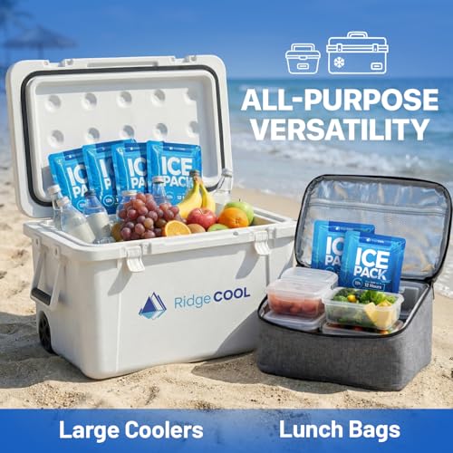 Ice Packs for Cooler, Reusable Ice Packs for Lunch Boxes, 4 Pack Long Lasting Freezer Packs, Leakproof Cooler Ice Packs for Lunch Bags and Coolers, BPA-Free, Food Safe - size: 4-Pack / 250g Each