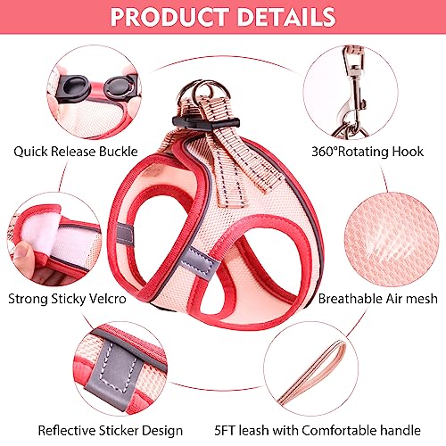 Cat Harness and Leash Set, Soft and Breathable Vest with Reflective Strip, Escape Proof Kitten Harness, Easy to Wear for Cats Walking and Traveling (Light Green, XS) - color: Light Green, size: XS (Chest:12''-13'')