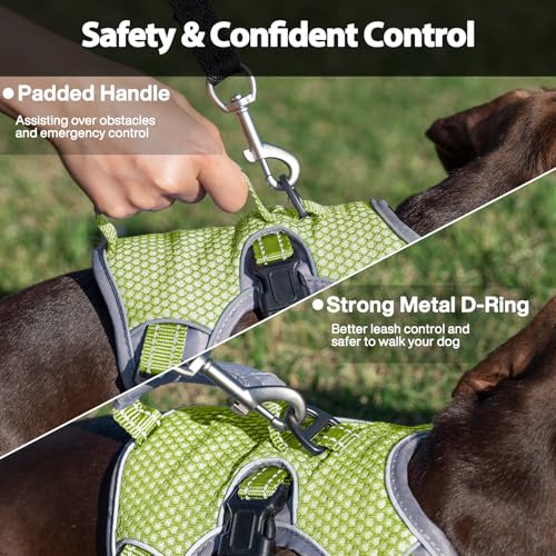 Huntboo Escape Proof Dog Harness, Dachshund Harness, Reflective Dog Harness with Handle, Durable,Adjustable Vest for Small Medium Large Dogs Walking, Training, and Running Gear (Green,M) - color: Green, size: Medium(Pack of 1)