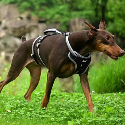PUPTECK Escape Proof Dog Harness with Padded Handle, No Pull Pet Vest Harness Durable Reflective for Medium Large Dogs Walking Training and Running, Black, M - color: Black, size: Medium
