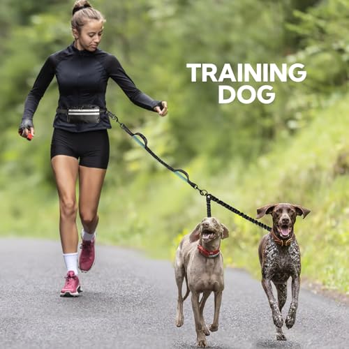 Hands Free Dog Leash,Dog Leashes for Medium Dogs,No Tangle - size: Medium