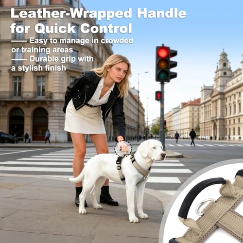 No Pull Dog Harness with Handle, Reflective Soft Mesh Padded Vest - color: Beige, size: M