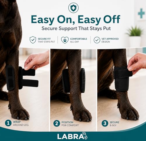 Labra Dog Front Leg Brace - Compression Wrap with Adjustable Straps - Dog Wrist Brace for Support - Leg Sleeve to Stop Licking - Aid in Wound Care and Recovery - Small/Medium - size: Small/Medium