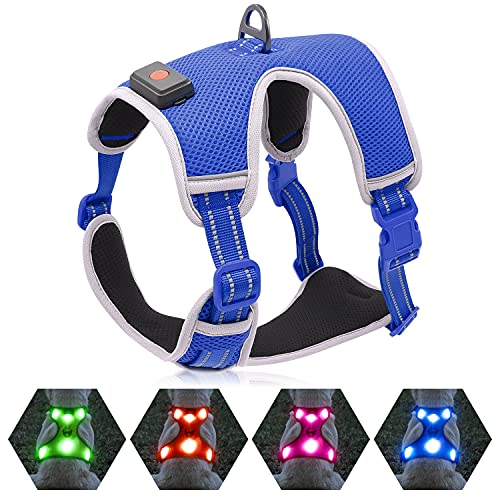 YFbrite Light Up Dog Harness - USB Rechargeable LED, Reflective, Comfortable Adjustable With Different Sizes (Blue, Small)