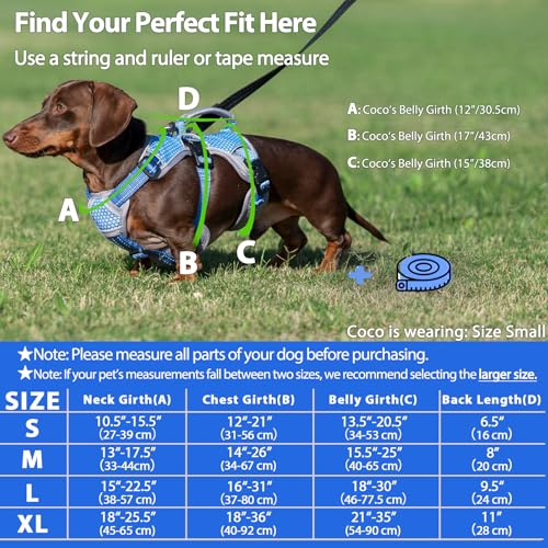 Huntboo Escape Proof Dog Harness, Dachshund Harness, Reflective Dog Harness with Handle, Durable,Adjustable Vest for Small Medium Large Dogs Walking, Training, and Running Gear (Sea Blue,S) - color: Sea Blue, size: Small(Pack of 1)