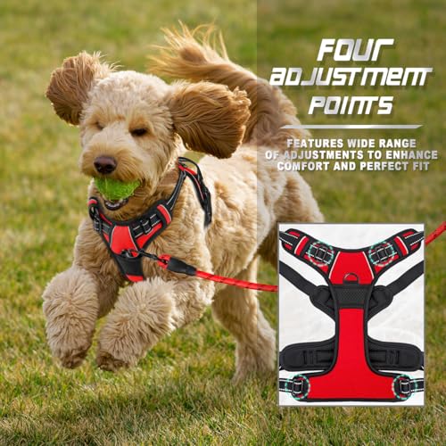 BARKBAY Dog Harness No Pull for Small Sized Dog Front Back Clips,Dog Vest - color: Red, size: X-Small(Chest:15.5-19.5”)
