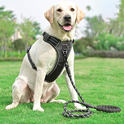 tobeDRI No Pull Dog Harness Adjustable Reflective Oxford Easy Control Medium Large Dog Harness with A Free Heavy Duty 5ft Dog Leash, Black/Red, L - color: Black/Red, size: Large