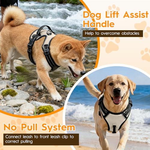 No Pull Dog Harness, No-Choke Soft Padded Reflective Dog Vest Harness with Front Clip & Top Handle, 2 Quick-Release Buckles, Adjustable for Small Medium Large Dogs - color: Velvet Cream, size: X-Small