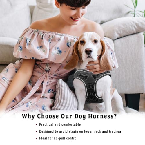 Comfort Fit Reflective Dog Harness, Soft Padded Easy Step-in Vest- Black, S - color: Reflective Black, size: S (Chest 12" - 15.5")