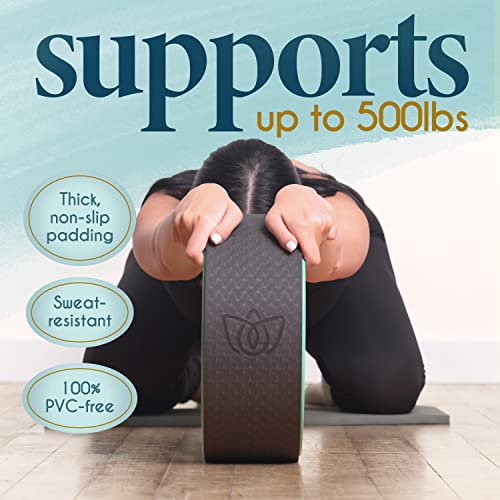 Florensi Yoga Wheel 3-Pack Back Roller & Stretcher for Pain Relief