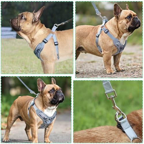 Dog Harness with Leash Set, No Pull Adjustable Step in Pet Vest - color: Gray-2, size: XS
