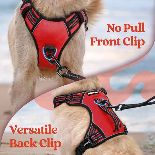 rabbitgoo Large Dog Harness, Easy Wear with 3 Buckles and Lift Handle - color: Red, size: Small