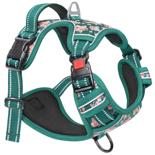 HEELE Dog Harness, No Pull, No Choke Vest, Easy On & Off, Flower Grass, S - color: Flower Grass Green, size: S (Pack of 1)
