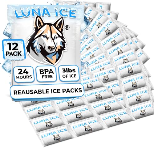 Dry Ice Packs for Shipping - Long Lasting ice Packs - 24+ Hour Freeze Power - BPA Free - 12 Pack Bulk 3 lb – Hielo Seco - Reusable Gel Bricks for Food - size: Medium