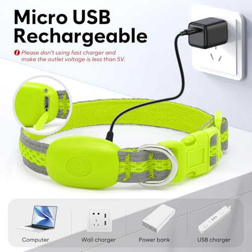 Flashseen LED Dog Collar, Light Up Dog Collar USB Rechargeable, Green, XS - color: Green, size: X-Small