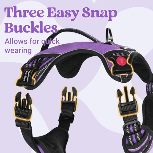 rabbitgoo Large Dog Harness, Easy Wear with 3 Buckles and Lift Handle - color: Purple, size: Medium