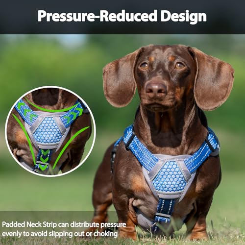 Huntboo Escape Proof Dog Harness, Dachshund Harness, Reflective Dog Harness with Handle, Durable,Adjustable Vest for Small Medium Large Dogs Walking, Training, and Running Gear (Sea Blue,S) - color: Sea Blue, size: Small(Pack of 1)