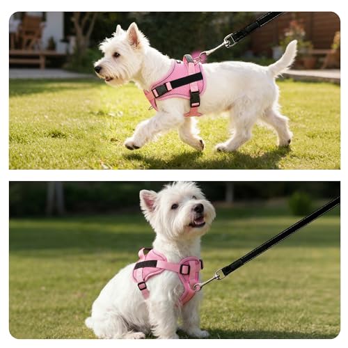 AIITLE No-Pull Dog Harness Reflective Mesh Vest Adjustable, Pink L - color: Pink, size: L