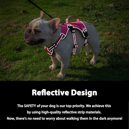 Huntboo Escape Proof Dog Harness, Dachshund Harness, Reflective Dog Harness with Handle, Durable,Adjustable Vest for Small Medium Large Dogs Walking, Training, and Running Gear (Rose red,M) - color: Rose red, size: Medium(Pack of 1)
