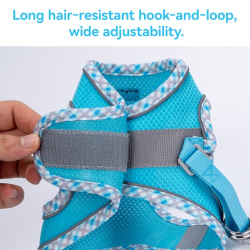 Petank Step in Dog Harness No Pull and Leash for Small Medium Dogs Cats. - color: Bule, size: XXS