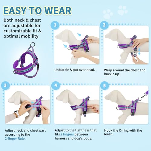 SlowTon No Pull Small Dog Harness and Leash Set with Front Clip - color: Purple, size: XX-Small