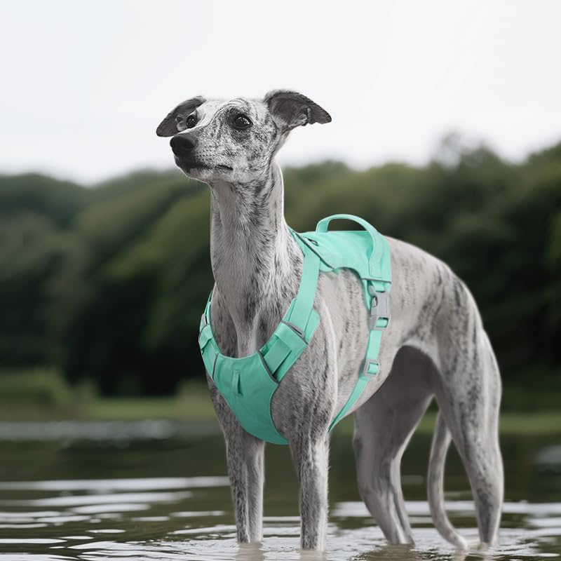 Mile High Life No Pull Dog Harness with Reflective Stripe, Adjustable Easy Get on Lightweight Harness for Small Medium Large Dogs Walking Running Training (Green, XL Chest 26"-37") - color: Green, size: XL Chest 26"-37"