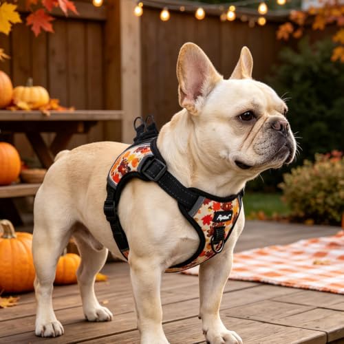 PUPTECK Fall Thanksgiving Dog Harness Small Sized Dog, Step in Adjustable Reflective Dog Vest Harness Escape Proof, No Pull Soft Padded Harness Easy Control, Yellow, S - color: Yellow(Turkey), size: S (CHEST: 13"-18")