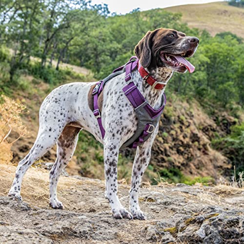 Kurgo Journey Air Dog Harness - Secure Fit for Active Dogs - Padded Chest - Lightweight Ripstop Fabric - Breathable Mesh - Reflective Trim - Back Assist Handle - Purple- X-Small - color: Purple, size: X-Small