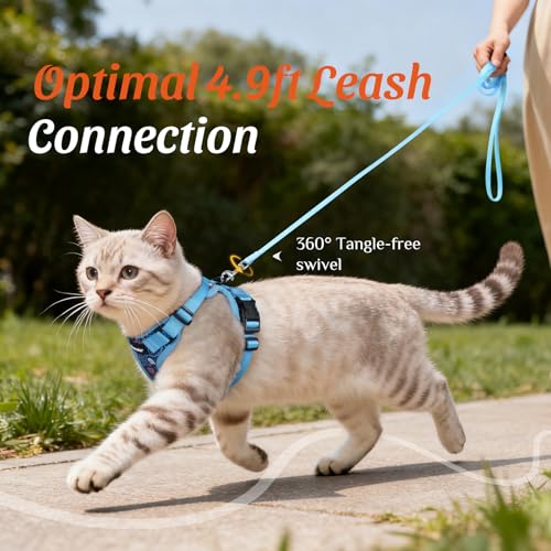 Dooradar Cat Harness and Leash Set, Adjustable and Escape Proof, XXS - color: Aqua Sea, size: Xxs