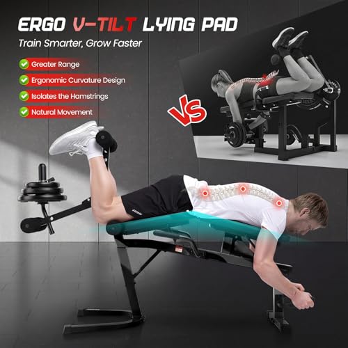 ANCHEER Leg Extension and Curl Machine, Adjustable Leg Workout Machine for Lower Body Training, 880LB Capacity Plate Loaded Leg Developer for Quads, Hamstrings & Glutes, Home Gym Equipment - color: Black