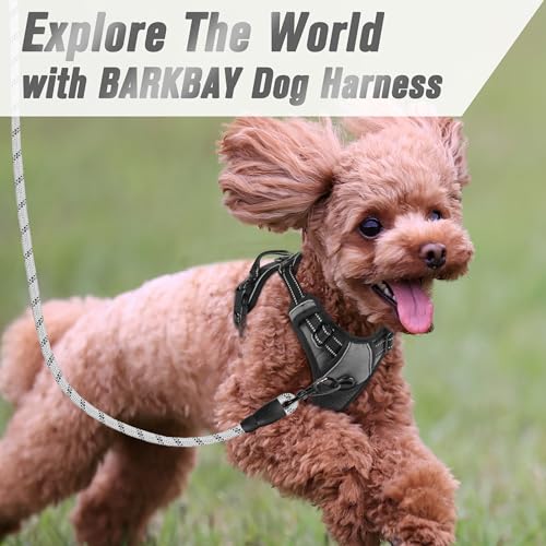 BARKBAY Dog Harness No Pull for Small Sized Dog Front Back Clips,Dog Vest - color: Dark Grey, size: X-Small(Chest:15.5-19.5”)