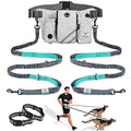 SHINE HAI Retractable Hands Free Dog Leash with Dual Bungees for 2 Dogs, Adjustable Waist Belt, Reflective Stitching Leash for Running Walking Hiking Jogging Biking Black - Gray2 - color: Gray