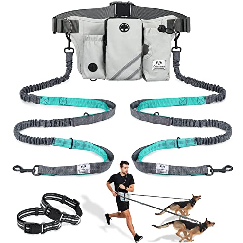 SHINE HAI Retractable Hands Free Dog Leash with Dual Bungees for 2 Dogs, Adjustable Waist Belt, Reflective Stitching Leash for Running Walking Hiking Jogging Biking Black - Gray2 - color: Gray
