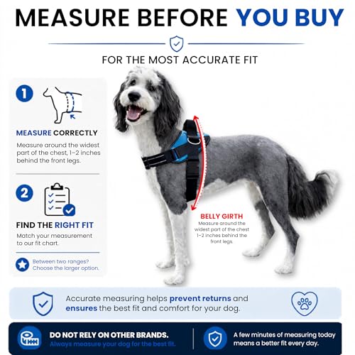 ShawnCo Essential Pro Dog Harness, No-Pull Pet Vest (Oceanic Blue, M) - color: Oceanic Blue, size: M
