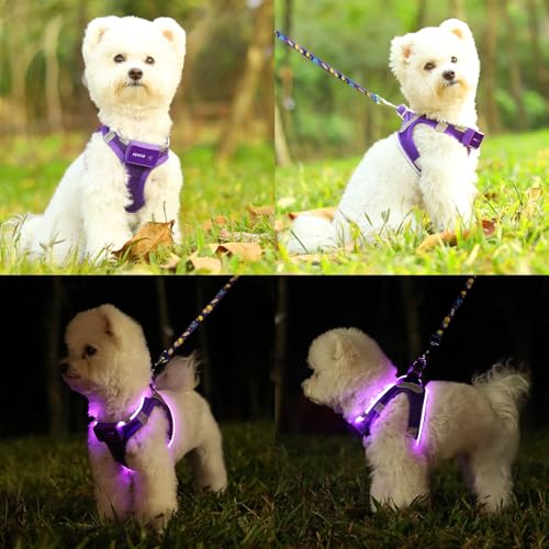 Light Up Dog Harness, Rechargeable LED Dog Harness for Small Medium Dogs - color: Purple, size: XS