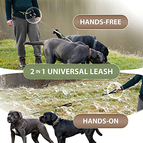 SparklyPets Hands Free Dual Dog Leash, Medium & Large (Olive Green) - color: Olive Green, size: 2 dogs M/L