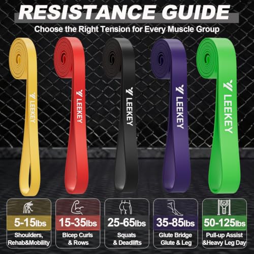 LEEKEY Resistance Bands Set, Exercise Workout Pull Up Bands for Working Out