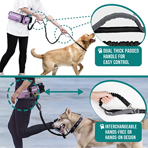 PetAmi Hands Free Dog Leash with Waist Running Belt Bag, Double (Purple) - color: Purple, size: 2 Leashes