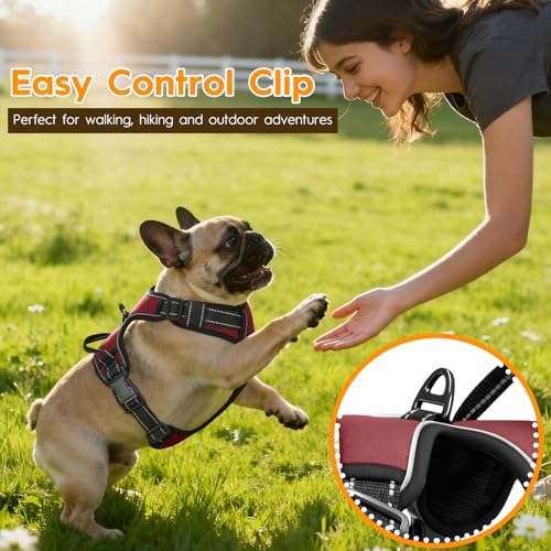 No Pull Dog Harness, No-Choke Soft Padded Reflective Dog Vest Harness with Front Clip & Top Handle, 2 Quick-Release Buckles, Adjustable for Small Medium Large Dogs - color: Neon Fuchsia, size: X-Small
