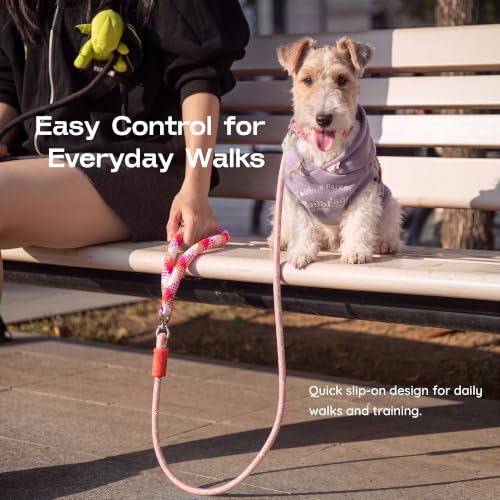 Slip Lead for Dogs, 5FT Rope Training Leash, Padded Handle,Pink - color: Light Pink
